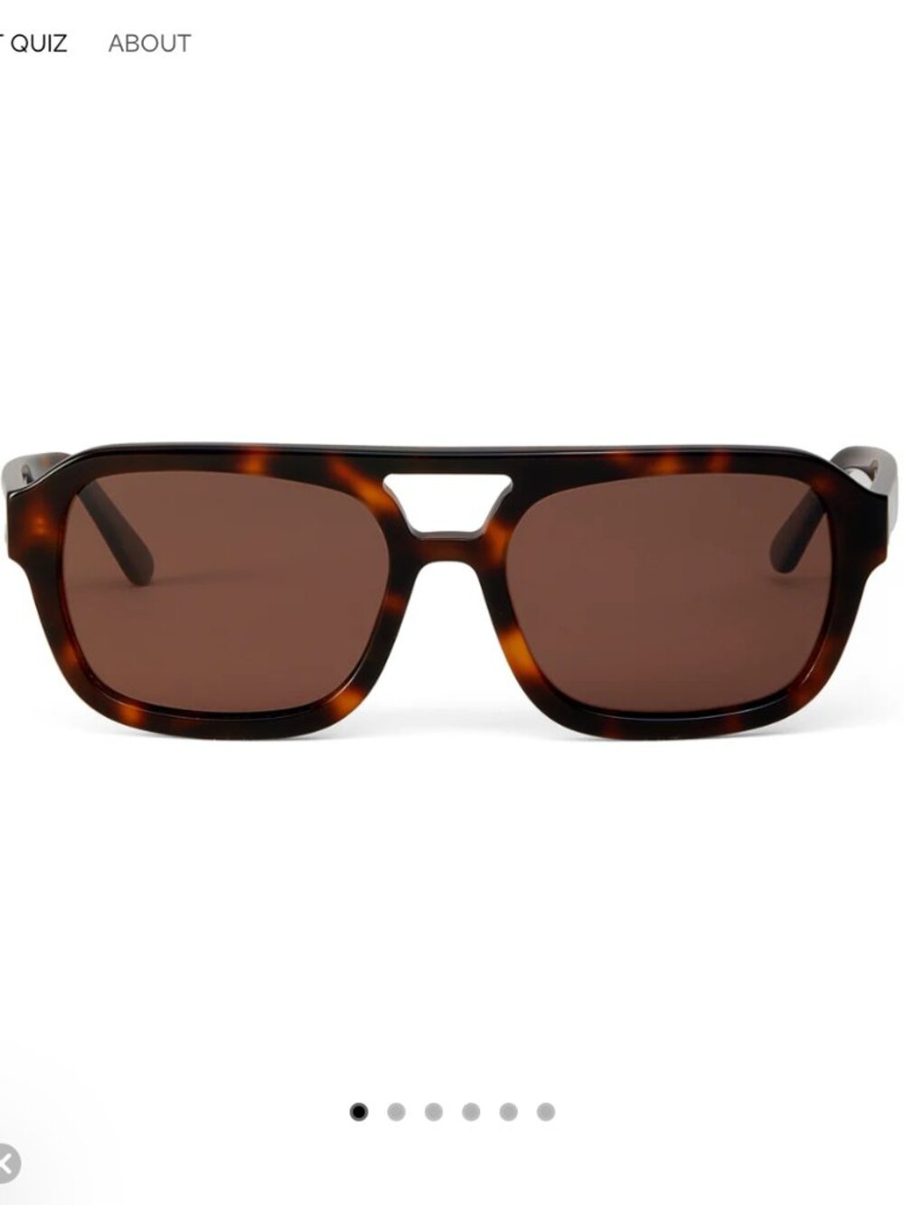 ELEVENTH HOUR Late Checkout Sunglasses in Tortoise
